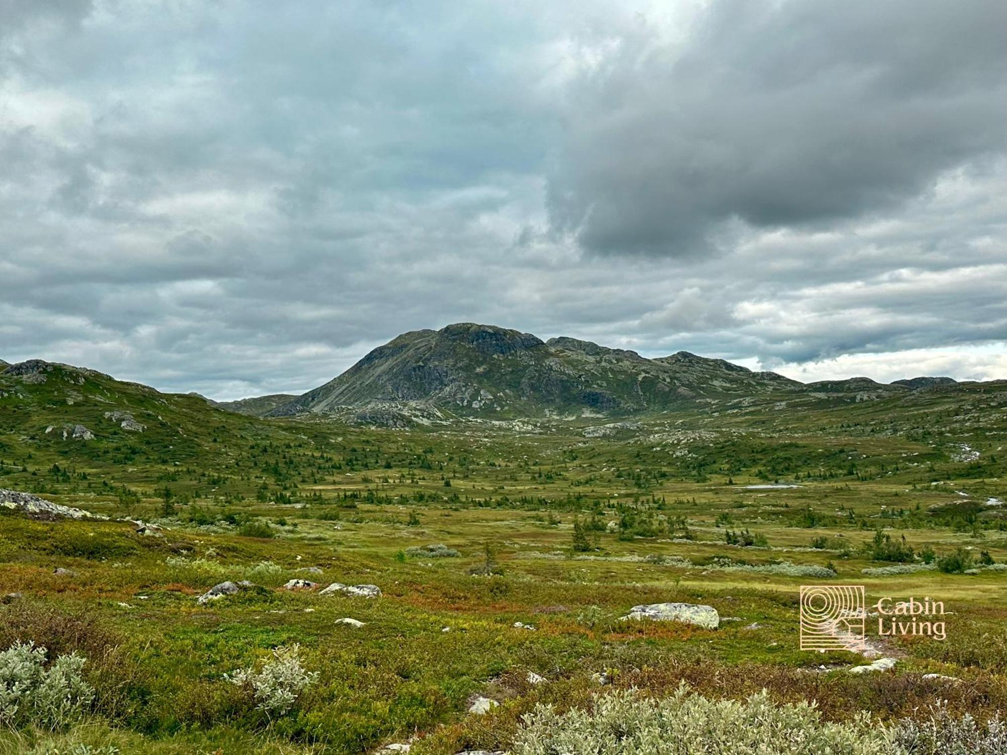 Brand New Cabin On The Sunny Side Of Gaustatoppen With A Great View Tuddal Exterior photo